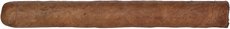 Rocky Patel